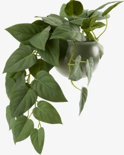 Plantas Artificiales><noscript><img width=