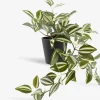 Plantas Artificiales>JYSK ASGARPlanta artificial ASGAR A48cm colgante