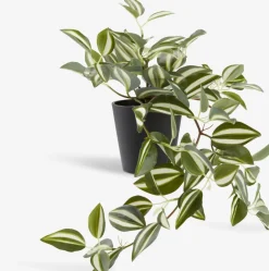 Plantas Artificiales>JYSK ASGARPlanta artificial ASGAR A48cm colgante
