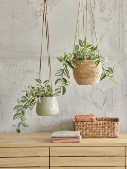 Plantas Artificiales><noscript><img width=