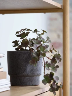 Plantas Artificiales><noscript><img width=