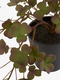 Plantas Artificiales><noscript><img width=