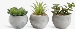 Plantas Artificiales>JYSK BRORPlanta artificial BROR Ø7xA9cm variado