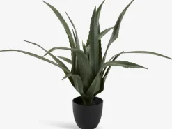 Plantas Artificiales>JYSK CELIUSPlanta artificial CELIUS A65cm aloe vera