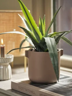 Plantas Artificiales>JYSK CELIUSPlanta artificial CELIUS A39cm verde