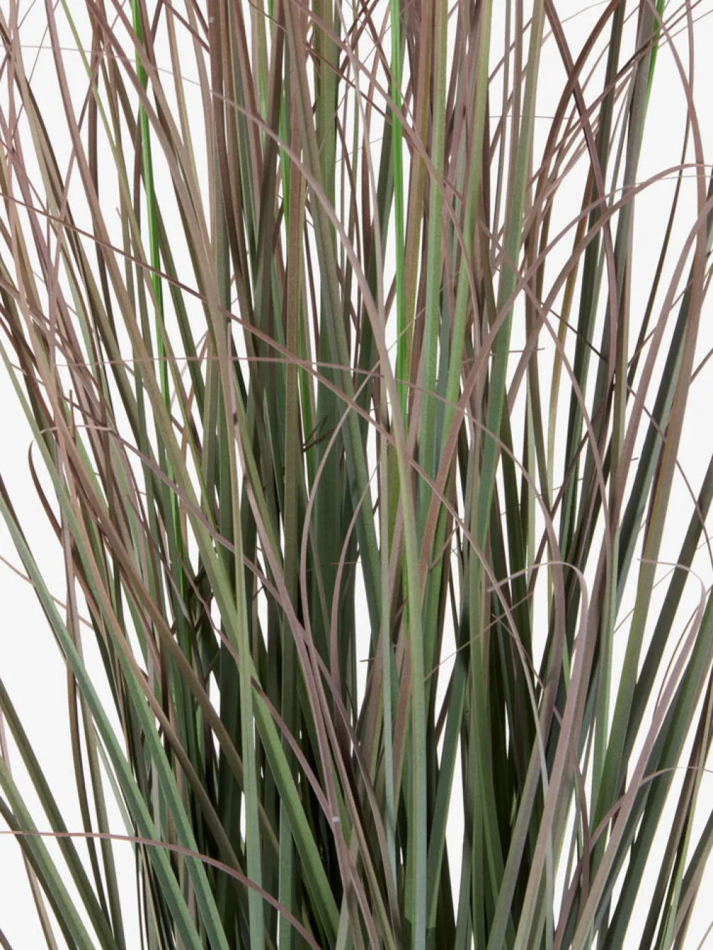 Plantas Artificiales Exterior>JYSK EDERFUGLPlanta artificial EDERFUGL A80 gramínea verde