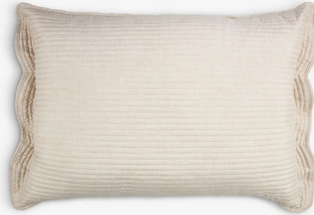 Cojines|Almohada Lumbar>JYSK FAGERKLOKKECojín lumbar FAGERKLOKKE 50x70 beis Beige