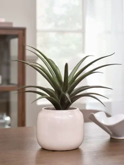 Plantas Artificiales><noscript><img width=