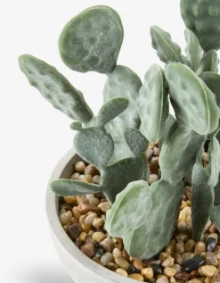 Plantas Artificiales><noscript><img width=