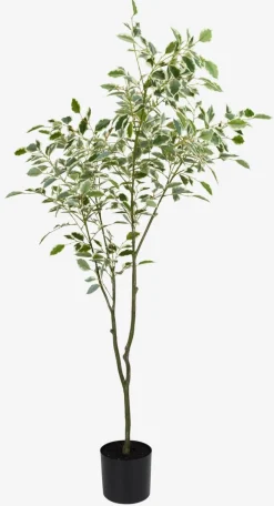 Plantas Artificiales>JYSK GUNNULFPlanta artificial GUNNULF A150cm con maceta