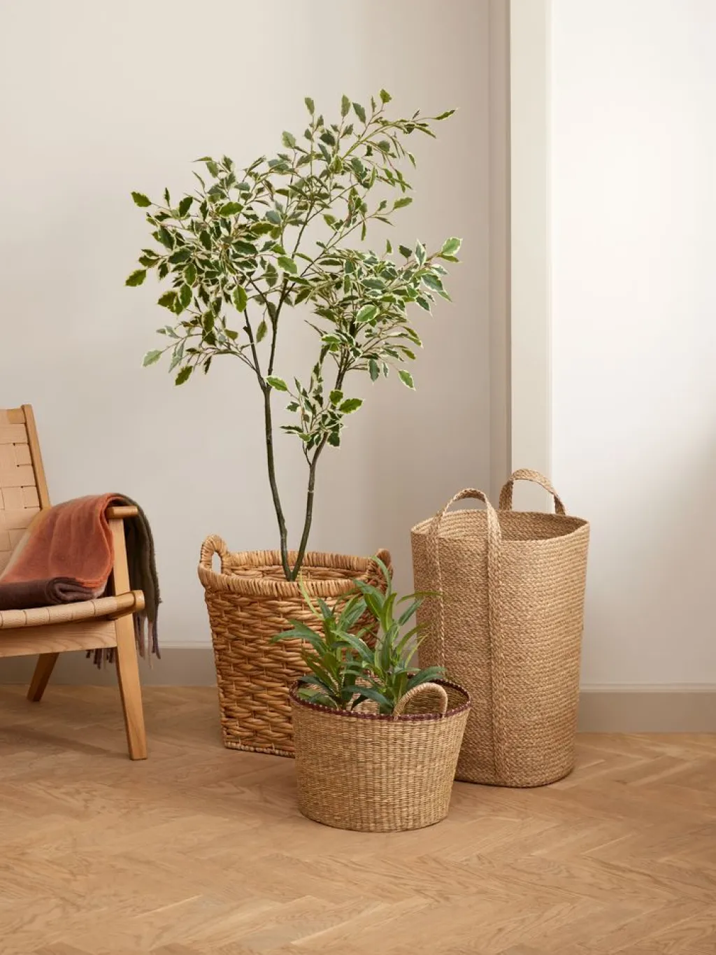 Plantas Artificiales>JYSK GUNNULFPlanta artificial GUNNULF A150cm con maceta