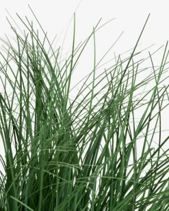 Plantas Artificiales Exterior><noscript><img width=