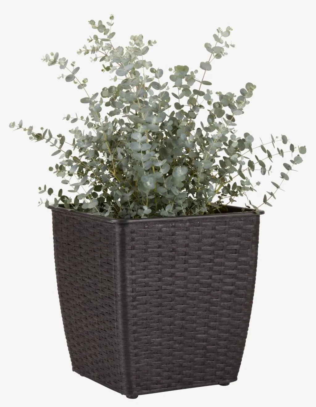 Maceteros>JYSK ISLOMCesto de jardín ISLOM 31x31x32 variado Surtido
