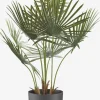 Plantas Artificiales>JYSK JAKOBPlanta artificial JAKOB A73cm verde