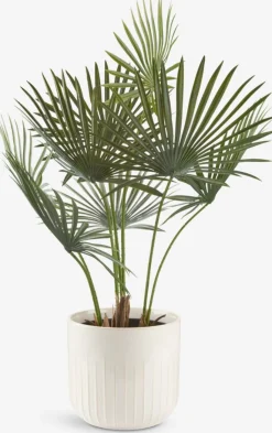 Plantas Artificiales><noscript><img width=