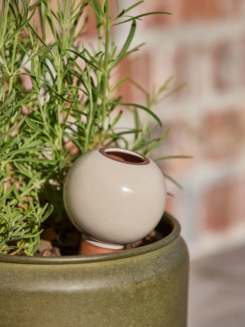 Decoración De Jardín>JYSK JORDUGLEDispositivo de riego automático JORDUGLE Ø9xA19 variado
