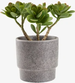 Plantas Artificiales><noscript><img width=