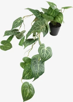 Plantas Artificiales Exterior>JYSK KNOPPSVANEPlanta artificial KNOPPSVANE A30cm verde
