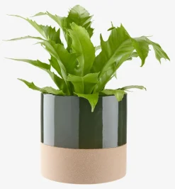 Maceteros>JYSK KRAGEMacetero KRAGE Ø16xA15 verde oscuro
