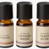 Velas Aromáticas>JYSK LEONAceite aromático LEON 10ml 3 unidades