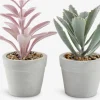 Plantas Artificiales>JYSK LOVEPlanta artificial LOVE Ø7xA15 variado