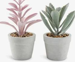 Plantas Artificiales>JYSK LOVEPlanta artificial LOVE Ø7xA15 variado