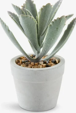 Plantas Artificiales>JYSK LOVEPlanta artificial LOVE Ø7xA15 variado