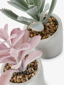 Plantas Artificiales><noscript><img width=