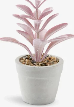 Plantas Artificiales><noscript><img width=