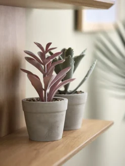 Plantas Artificiales><noscript><img width=
