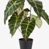Plantas Artificiales>JYSK MARIUSPlanta artificial MARIUS Ø38xA42cm