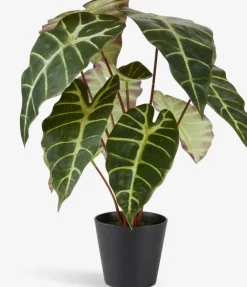 Plantas Artificiales>JYSK MARIUSPlanta artificial MARIUS Ø38xA42cm