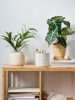 Plantas Artificiales><noscript><img width=