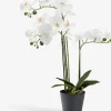 Plantas Artificiales>JYSK MATINUSPlanta artificial MATINUS A62cm orquídea blanca