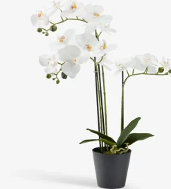 Plantas Artificiales>JYSK MATINUSPlanta artificial MATINUS A62cm orquídea blanca