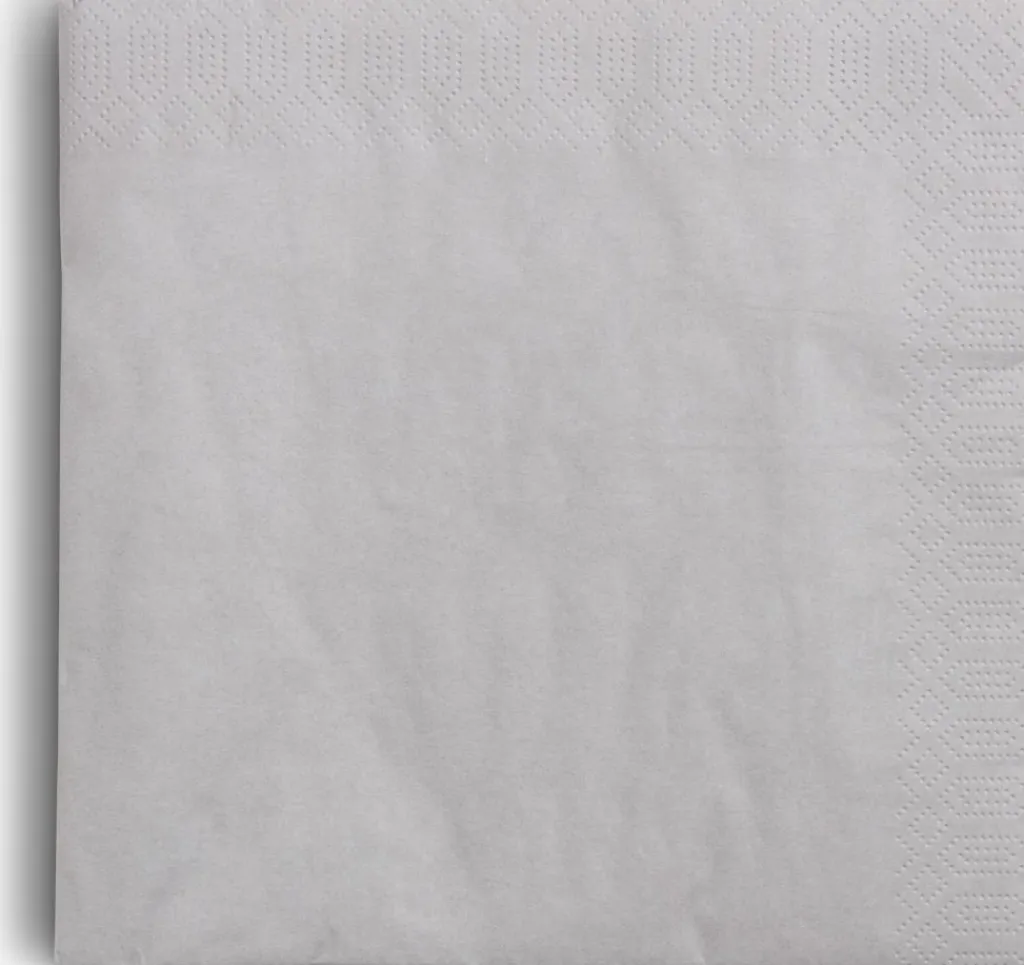 Velas Y Servilletas|Velas Y Servilletas>JYSK MOLTEServilletas de papel MOLTE 40x40 50 unidades Gris
