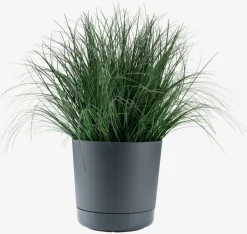 Maceteros>JYSK MORKULLAMacetero MORKULLA Ø28xA28cm gris antracita