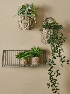 Plantas Artificiales>JYSK OLIVERPlanta artificial OLIVER L62cm colgante