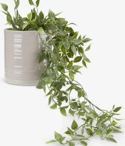Plantas Artificiales><noscript><img width=