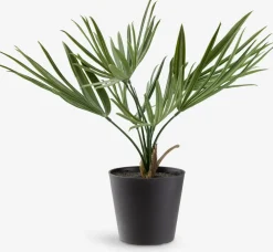 Plantas Artificiales>JYSK PAULPlanta artificial PAUL A33cm verde