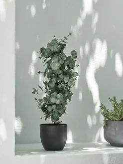 Plantas Artificiales Exterior>JYSK RIPAPlanta artificial RIPA A90cm eucalipto