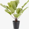 Plantas Artificiales>JYSK ROLFPlanta artificial ROLF A55cm verde