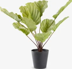 Plantas Artificiales>JYSK ROLFPlanta artificial ROLF A55cm verde
