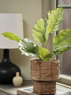 Plantas Artificiales>JYSK ROLFPlanta artificial ROLF A55cm verde
