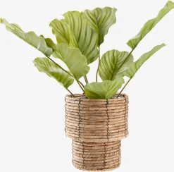 Plantas Artificiales><noscript><img width=