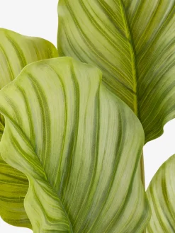 Plantas Artificiales><noscript><img width=