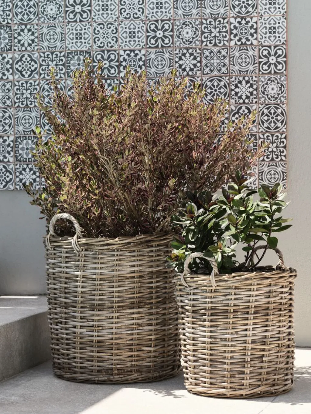 Maceteros>JYSK SANSEBIECesto de jardín SANSEBIE Ø50/40 kubu natural 2 unidades