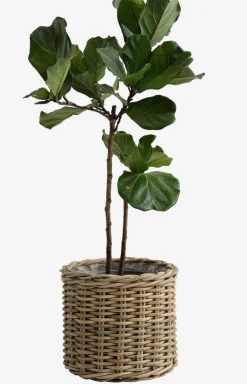 Maceteros>JYSK SEGLACesto de jardín SEGLA Ø50xA45 ratán natural