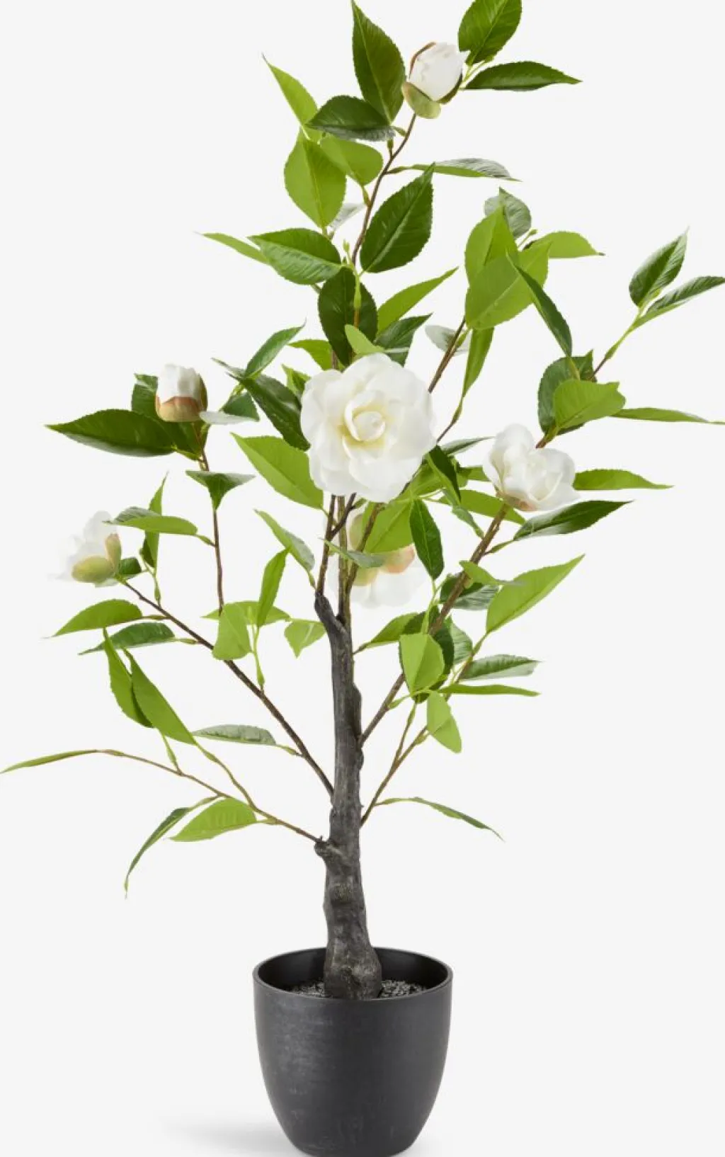 Plantas Artificiales Exterior>JYSK SOLOPGANGPlanta artificial SOLOPGANG A80 rosal blanco
