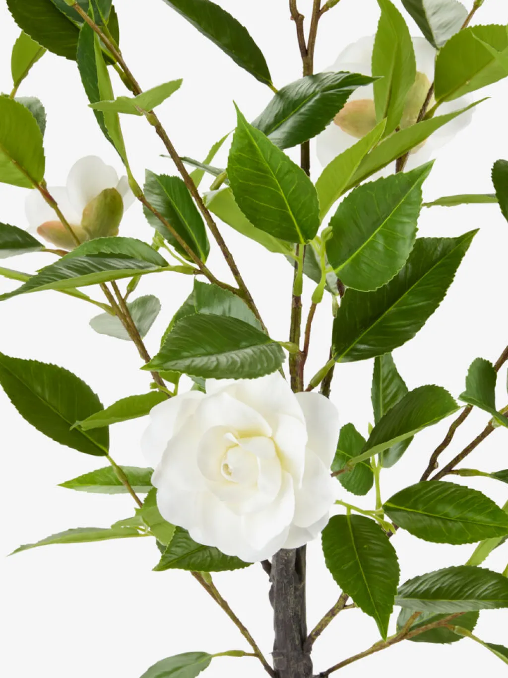 Plantas Artificiales Exterior>JYSK SOLOPGANGPlanta artificial SOLOPGANG A80 rosal blanco